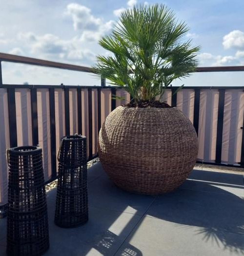Dakterras aankleden door CT Hekwerk met planten